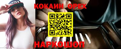 крисы Кингисепп