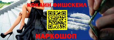 крисы Кингисепп