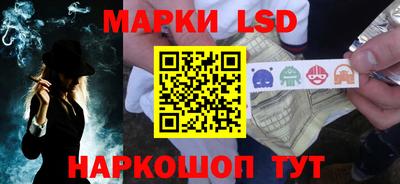 шишки Кимры
