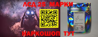 шишки Кимры
