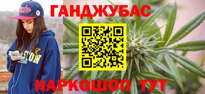 крисы Кингисепп