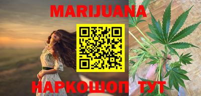 крисы Кингисепп