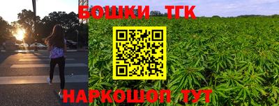 крисы Кингисепп