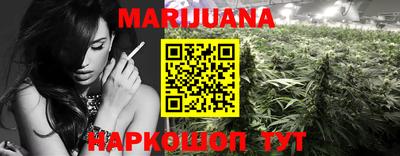 крисы Кингисепп