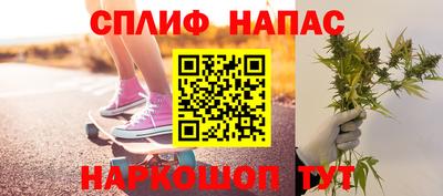 шишки Кимры