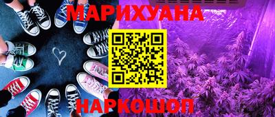 шишки Кимры