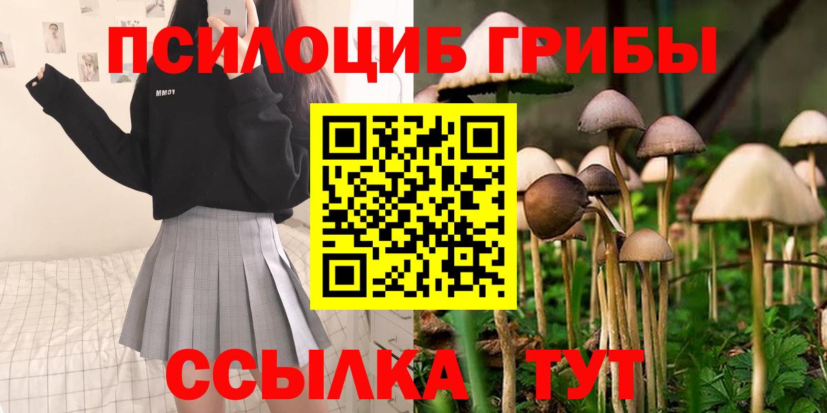 Галлюциногенные грибы мухоморы Кузнецк