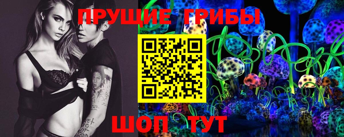 Галлюциногенные грибы ЛСД  Кузнецк  Галлюциногенные грибы Psilocybine cubensis 