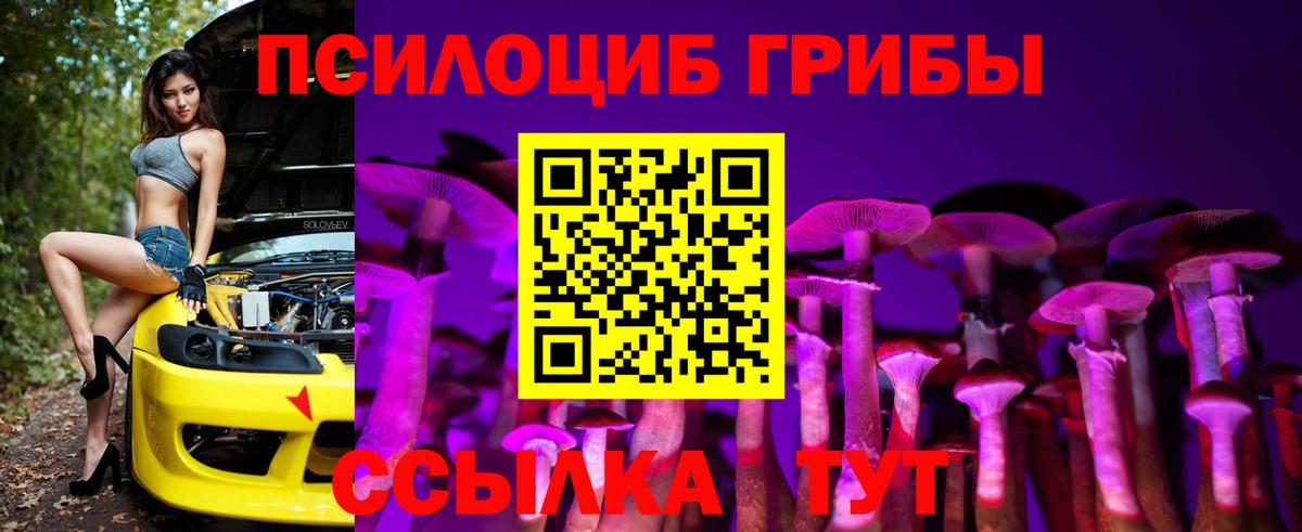 Галлюциногенные грибы Magic Shrooms Кузнецк