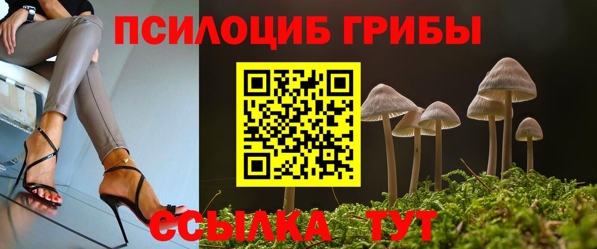 Галлюциногенные грибы Cubensis  сколько стоит  Кузнецк  Вход с VPN 